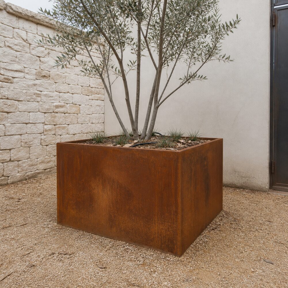 Large Corten steel tree planter in an Austin, TX courtyard