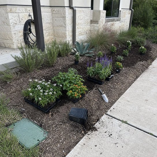 seasonal planting