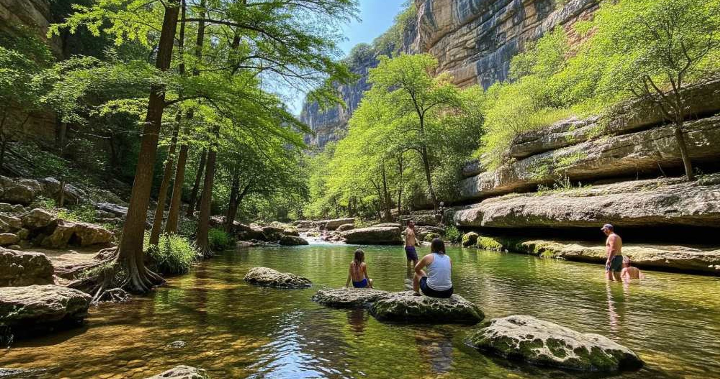 landscaping in Barton Creek, TX by 512 Luxury Landscaping