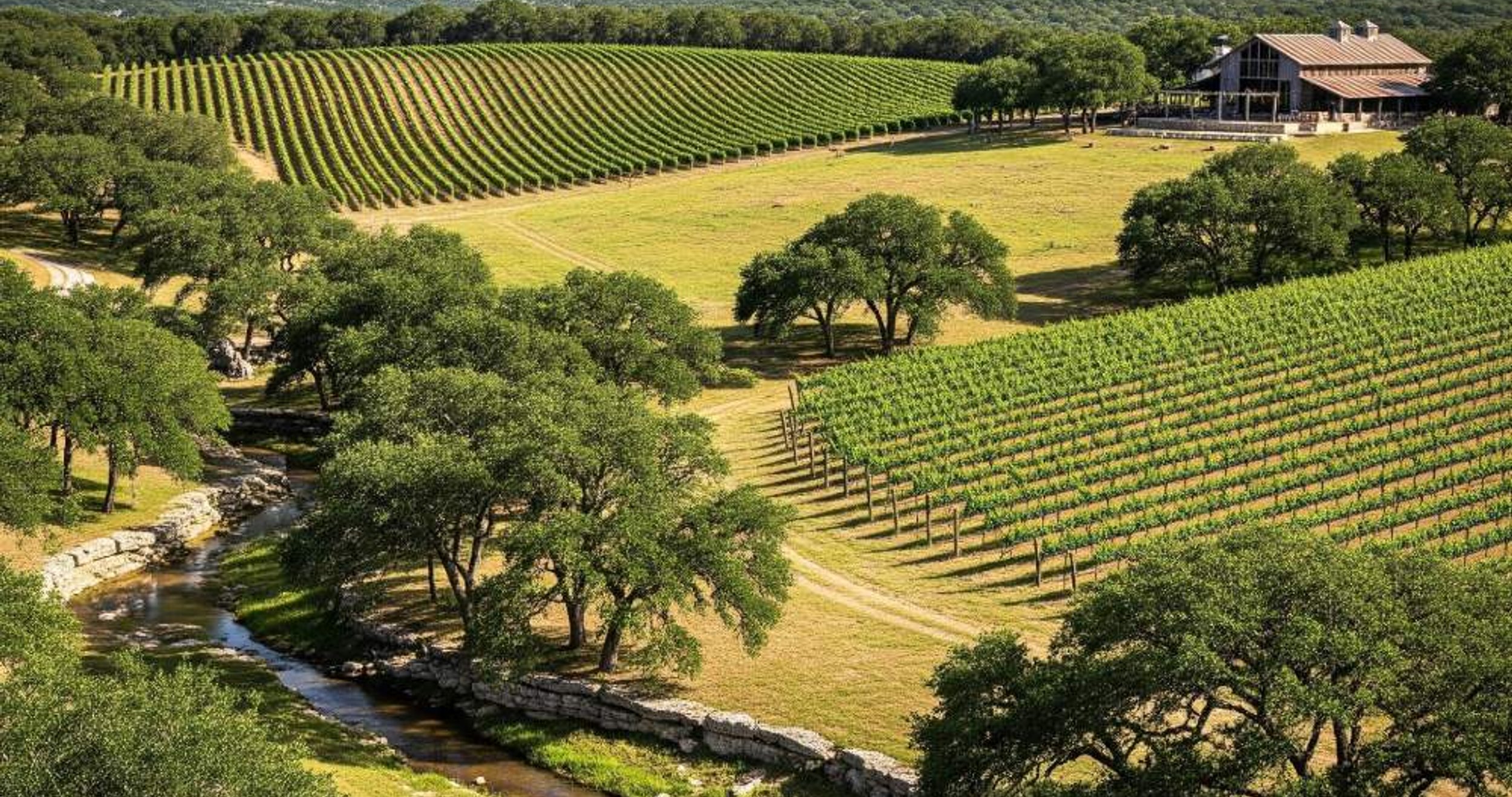 landscaping in Dripping Springs, TX by 512 Luxury Landscaping