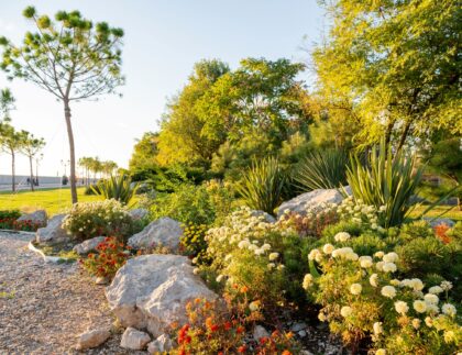 urban-landscaping-flower-bed-with-colorful-plants-2024-09-22-19-22-47-utc